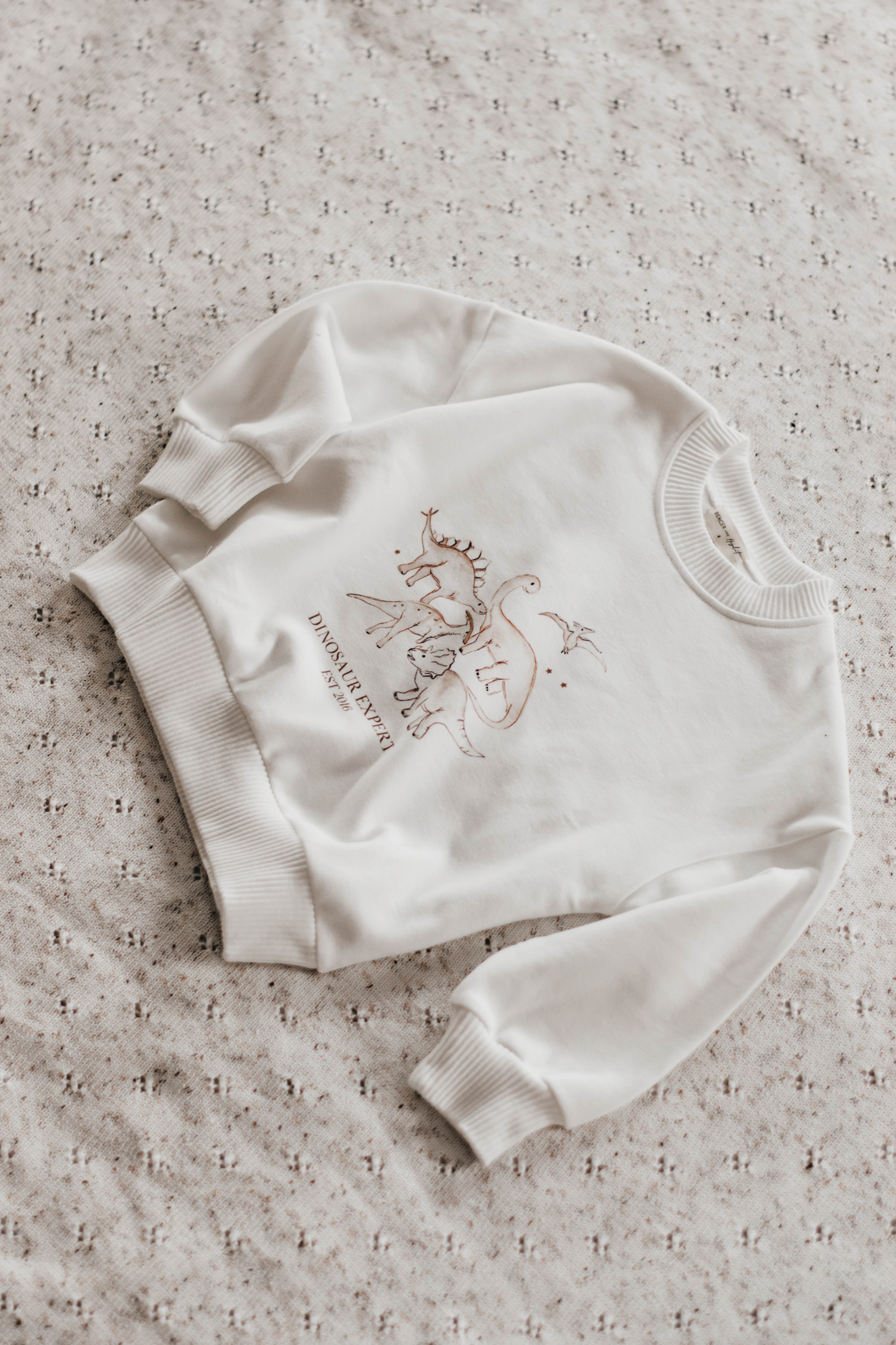 Dinosaur Expert Jumper | White