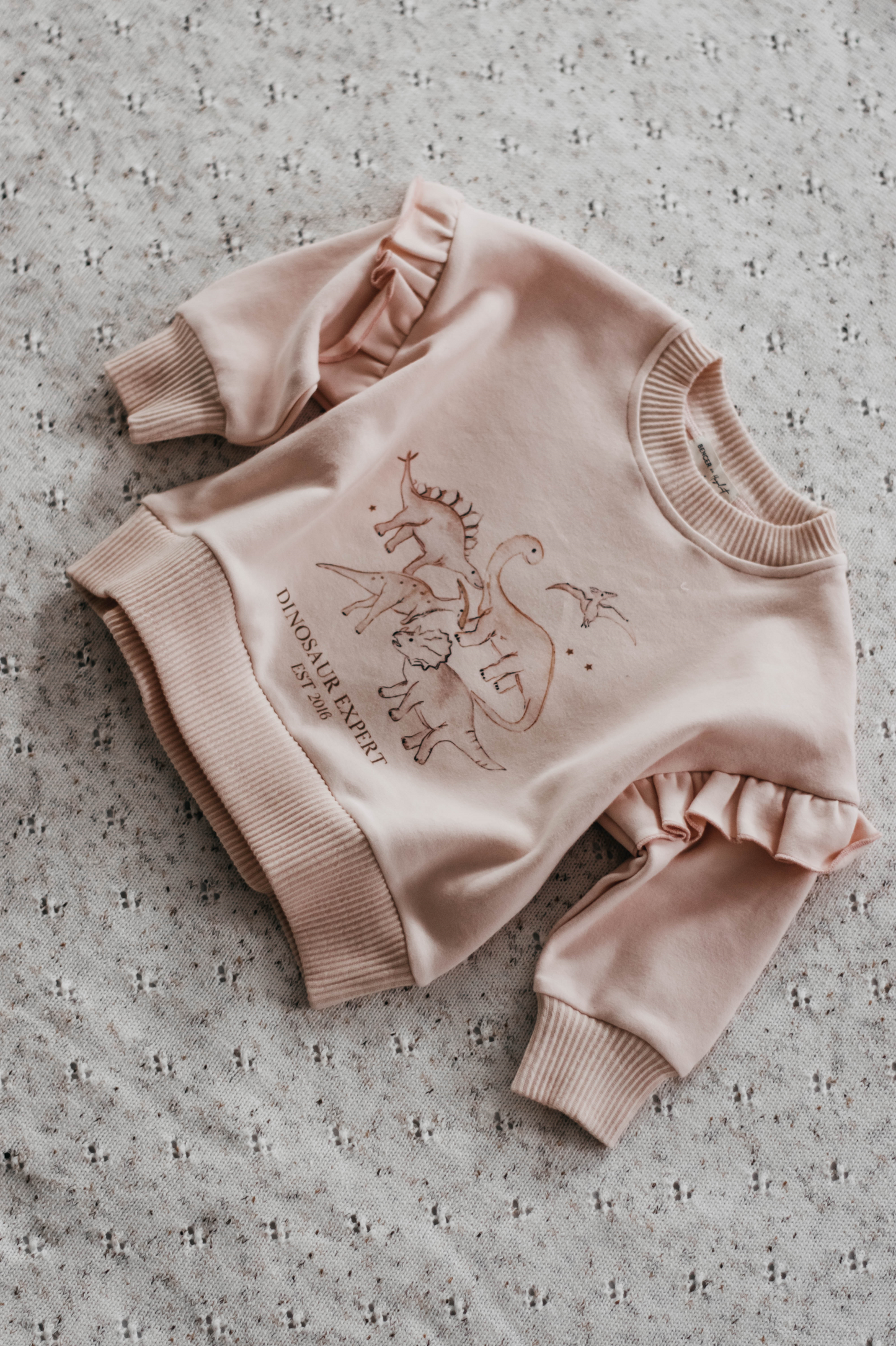 Dinosaur Expert Jumper | Pink