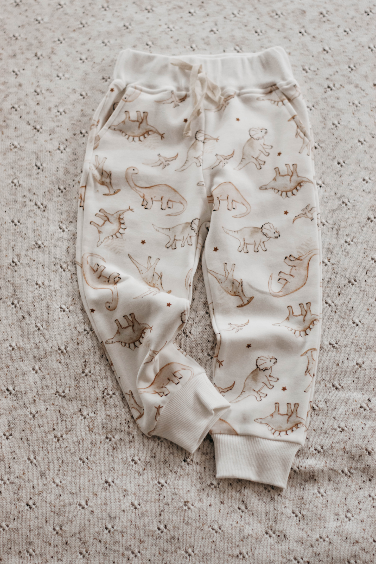 Palaeontologist Joggers